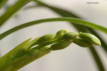 20080105_5148.jpg
