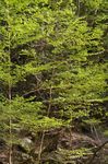 20070503_015.jpg