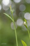 20070519_4278.jpg