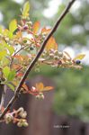 20070616_4516.jpg