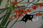 20070714_4177.jpg