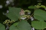 20070720_4277.jpg