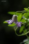 20070720_4611.jpg