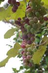 20070720_4637.jpg
