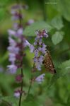20070729_4371.jpg