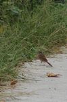 20070930_033.jpg