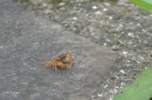 20071014_020.jpg
