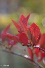 20071025_4912.jpg