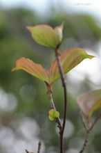 20071025_4931.jpg