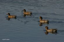 20071028_050.jpg