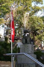20080103_014.jpg