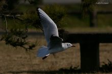 20080211_041.jpg