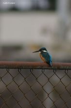 20080211_069.jpg