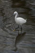 20080211_258.jpg