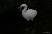 20080211_264.jpg