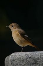 20080218_8538.jpg