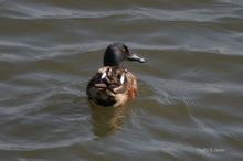 20080301_066.jpg