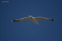 20080301_260.jpg
