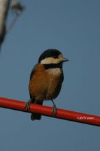 20080308_8938.jpg