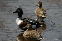 20080315_092.jpg