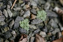 20080408_5914.jpg