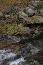 20080412_042.jpg