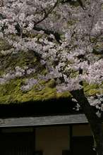 20080412_053.jpg
