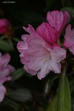 20080412_072.jpg