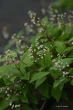 20080416_6143.jpg