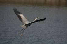 20080419_317.jpg