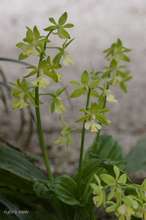 20080422_6271.jpg