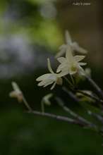 20080502_6542.jpg