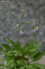 20080626_7152.jpg