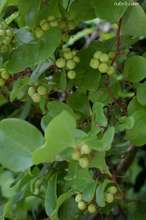 20080706_130.jpg
