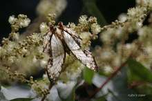 20080706_169.jpg