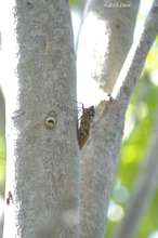 20080716_10291.jpg