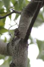 20080717_10297.jpg