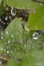 20080726_10423.jpg