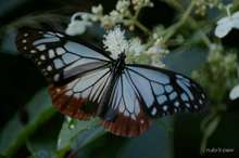 20080814_032.jpg