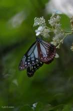 20080814_045.jpg