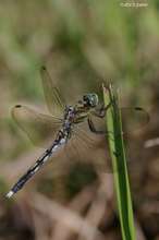 20080814_084.jpg