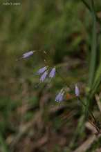 20080814_090.jpg