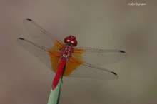 20080814_105.jpg