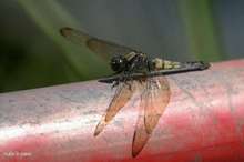 20080814_212.jpg