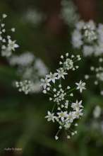 20080912_7516.jpg