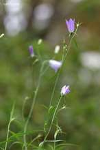 20081014_7676.jpg