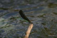 20081018_052.jpg