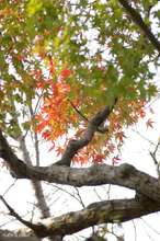 20081116_12237.jpg