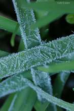 20081207_12532.jpg