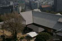 20090207_101.jpg